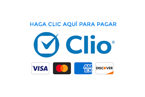 Make A Payment Now